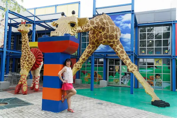 Giraffe (4)